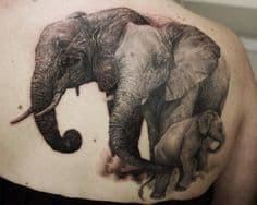 elephant tattoo finished by asussman on DeviantArt