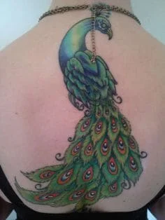 Peacock Tattoo Meaning 1