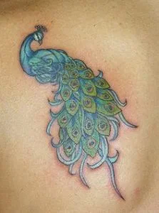 Peacock Tattoo Meaning 17