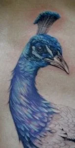 Peacock Tattoo Meaning 9