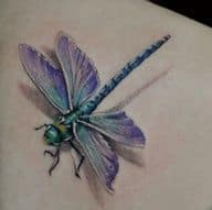 Dragonfly Tattoo Meaning, Designs & Ideas