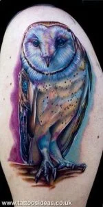 Owl Tattoo 4