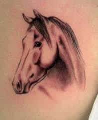 Horse Tattoos 48