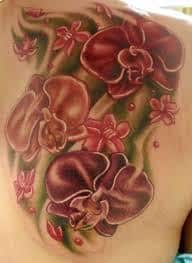 Orchid Tattoos 43
