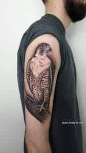 Falcon Tattoo Meaning, Design & Ideas