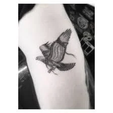 Falcon Tattoo 20