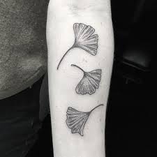 Microrealistic ginkgo leaves tattoo on the shoulder