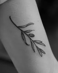 Olive Branch Tattoo 1