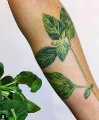 Plant Tattoo 42