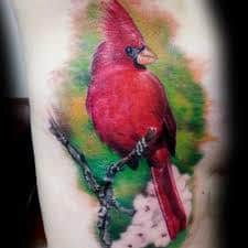 12 Famous Cardinal Tattoos On Shoulder