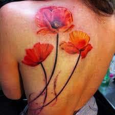 Poppy Flower Tattoo 50