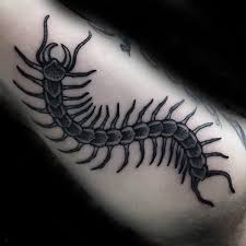 Centipede Tattoo 43
