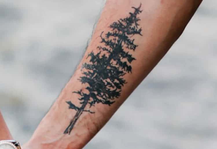 Pine tree forearm tattoo meaning