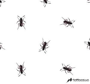 Ant tattoo meaning