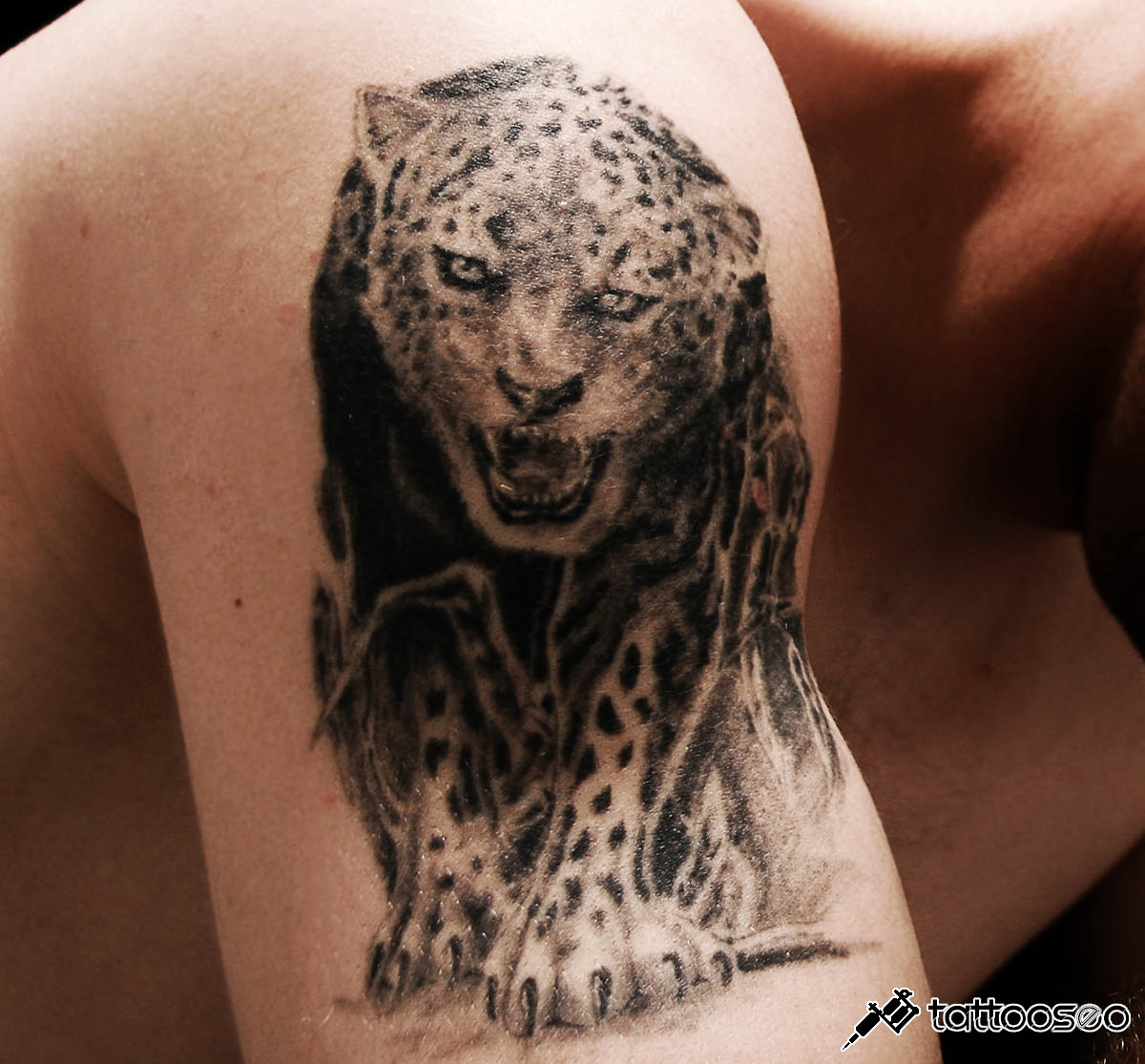 Leopard tattoo meaning