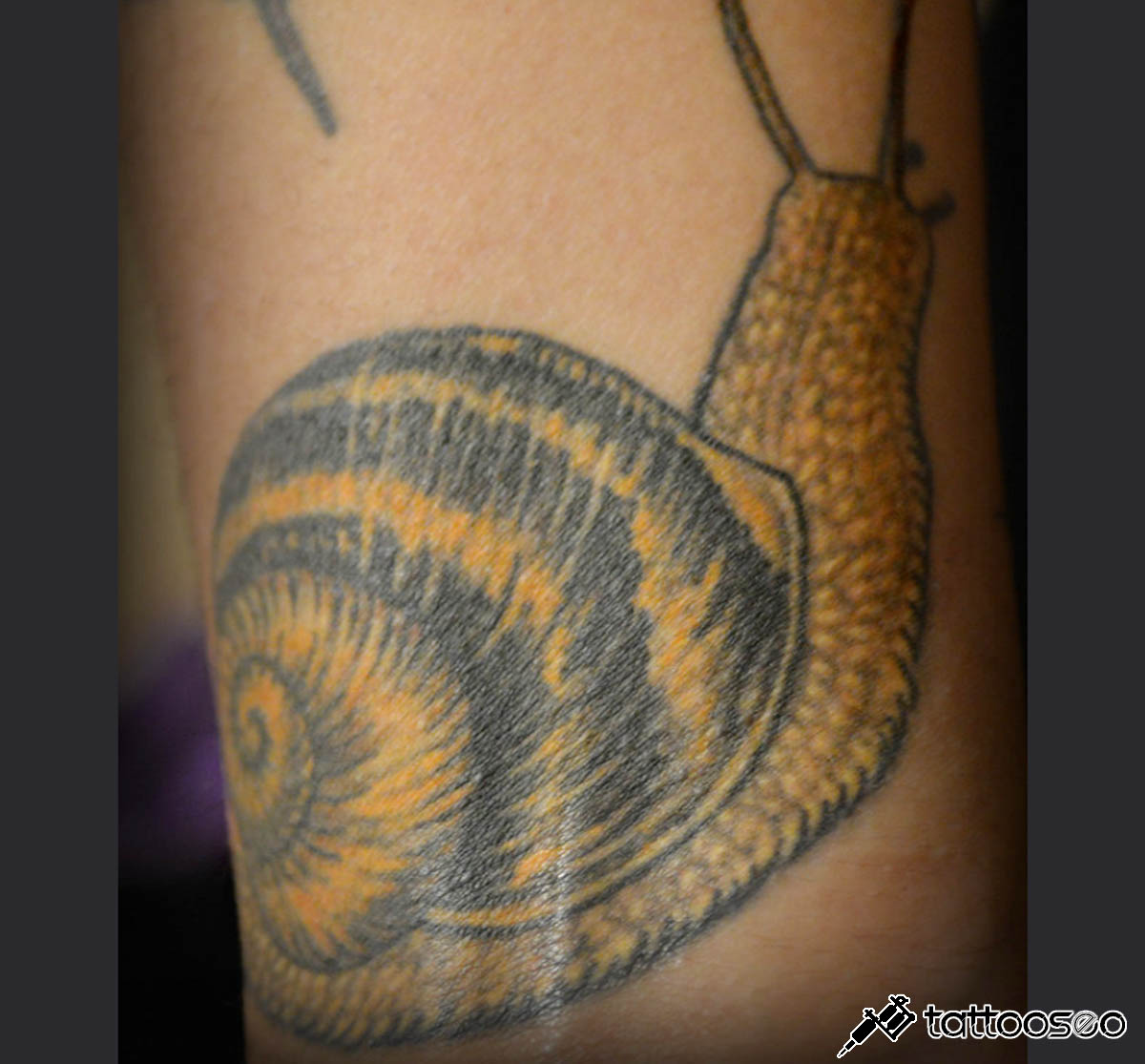 Snail tattoo meaning